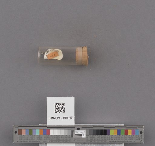 NSF ADBC EPICC TCN