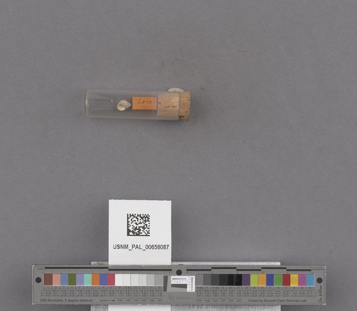 NSF ADBC EPICC TCN