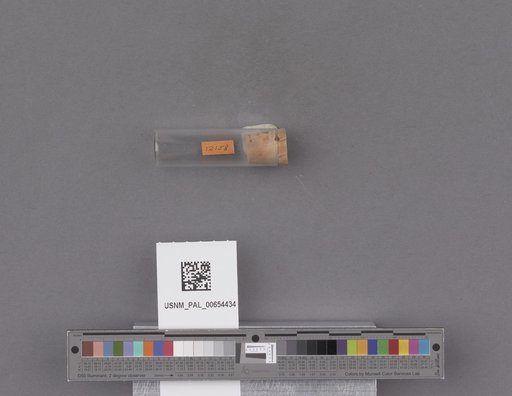 NSF ADBC EPICC TCN
