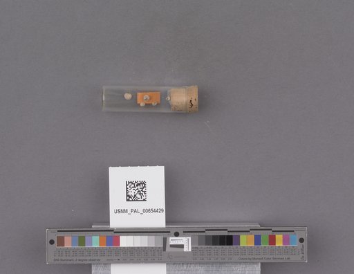 NSF ADBC EPICC TCN