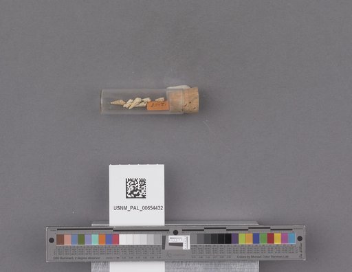 NSF ADBC EPICC TCN