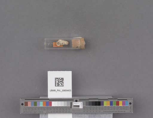 NSF ADBC EPICC TCN