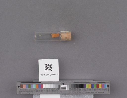 NSF ADBC EPICC TCN