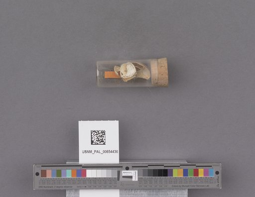 NSF ADBC EPICC TCN