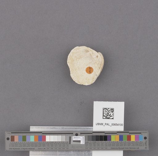 NSF ADBC EPICC TCN