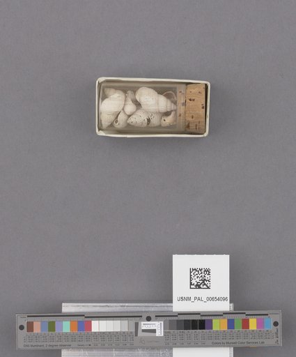 NSF ADBC EPICC TCN