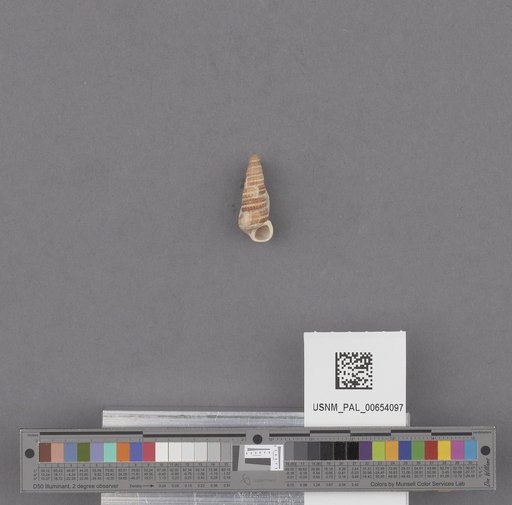 NSF ADBC EPICC TCN