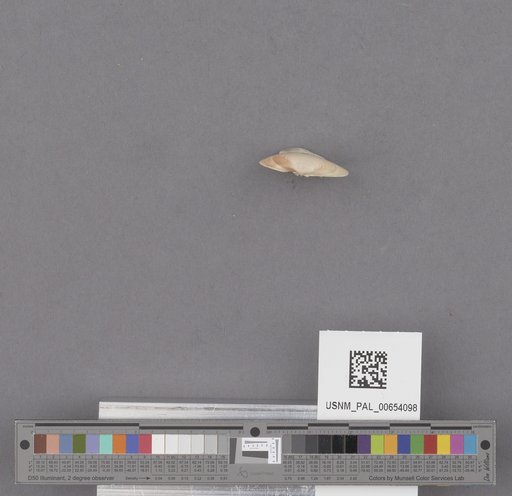 NSF ADBC EPICC TCN