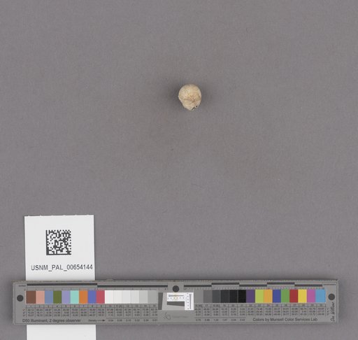 NSF ADBC EPICC TCN