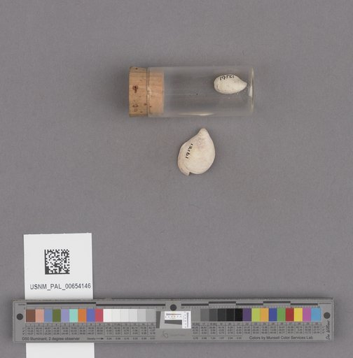 NSF ADBC EPICC TCN