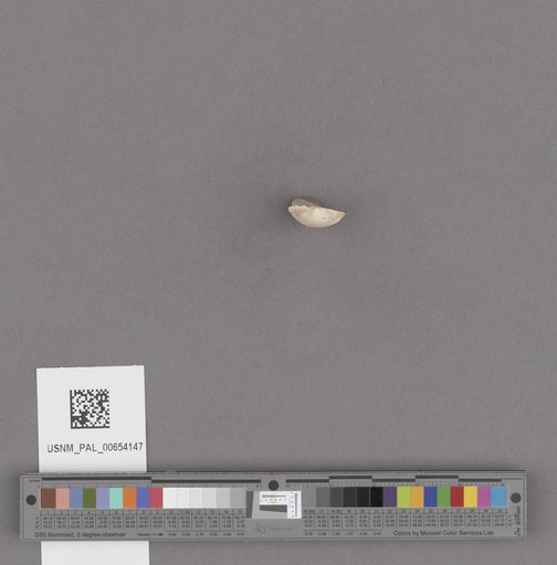 NSF ADBC EPICC TCN
