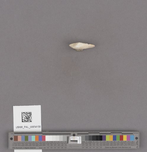 NSF ADBC EPICC TCN