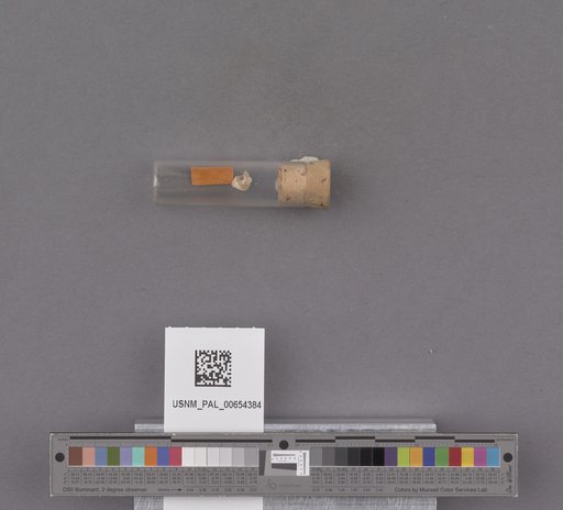 NSF ADBC EPICC TCN