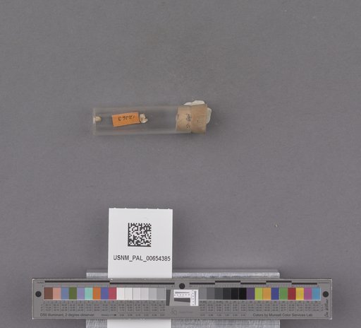 NSF ADBC EPICC TCN