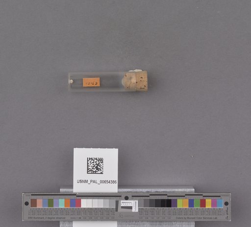 NSF ADBC EPICC TCN