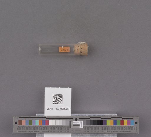 NSF ADBC EPICC TCN