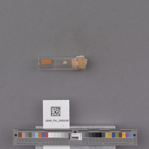 NSF ADBC EPICC TCN
