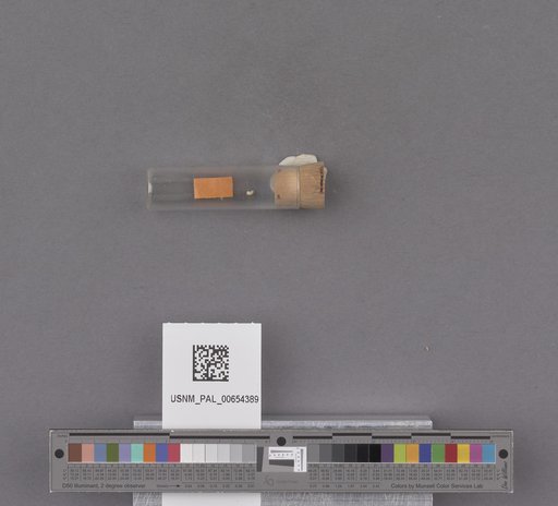 NSF ADBC EPICC TCN