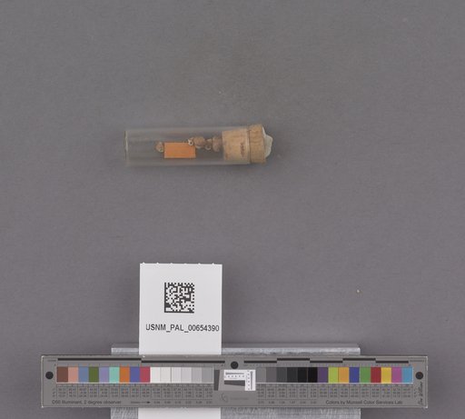 NSF ADBC EPICC TCN