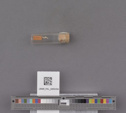 NSF ADBC EPICC TCN