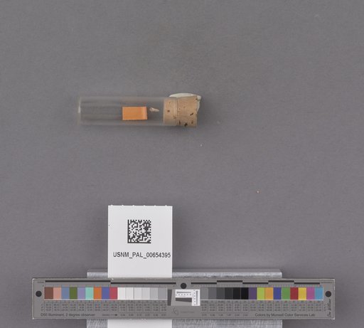 NSF ADBC EPICC TCN