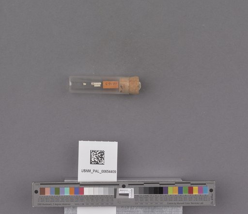 NSF ADBC EPICC TCN