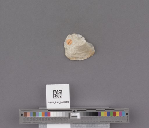 NSF ADBC EPICC TCN