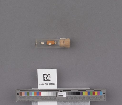 NSF ADBC EPICC TCN
