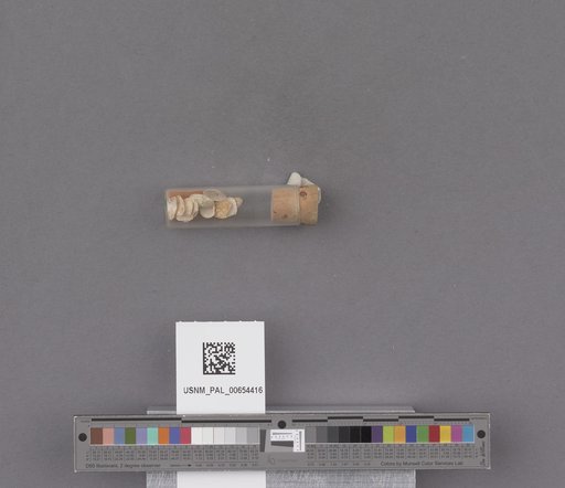 NSF ADBC EPICC TCN