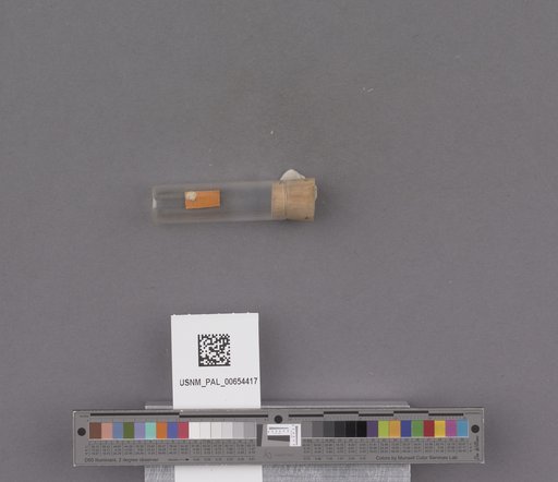 NSF ADBC EPICC TCN
