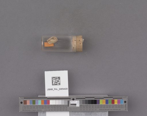 NSF ADBC EPICC TCN