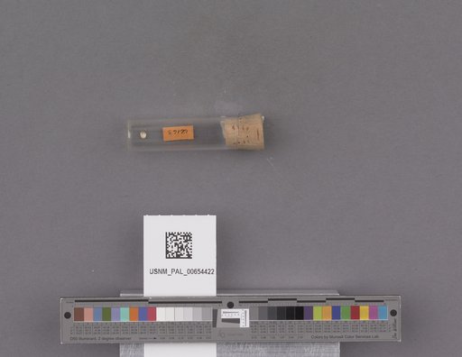 NSF ADBC EPICC TCN