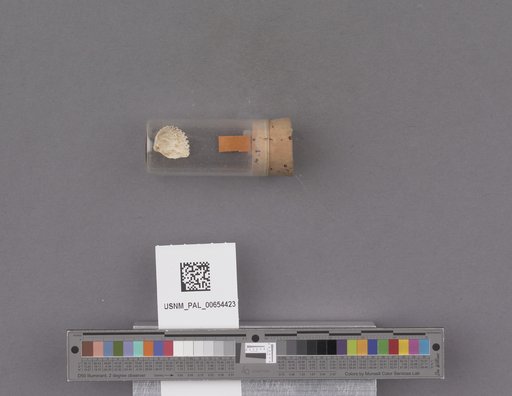 NSF ADBC EPICC TCN