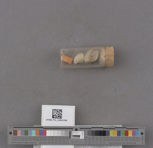 NSF ADBC EPICC TCN