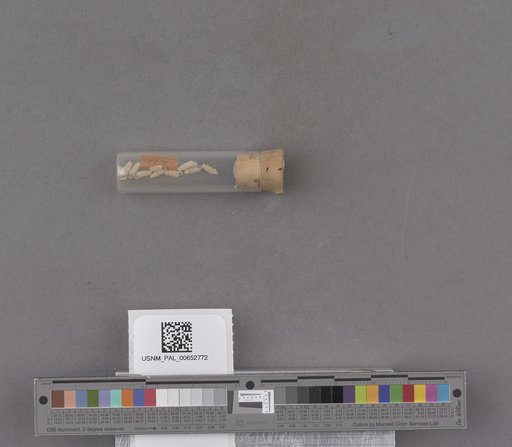 NSF ADBC EPICC TCN