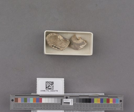 NSF ADBC EPICC TCN