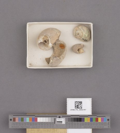 NSF ADBC EPICC TCN