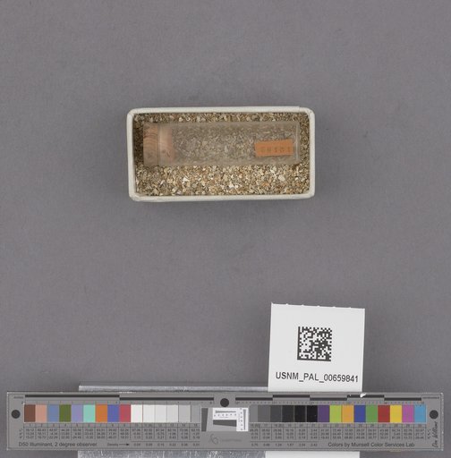 NSF ADBC EPICC TCN