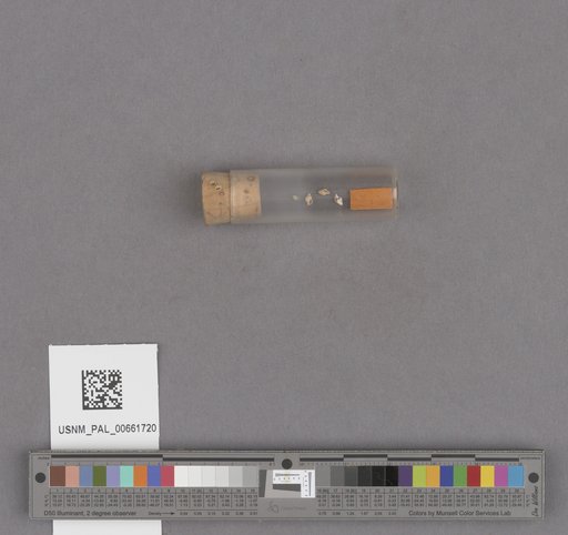NSF ADBC EPICC TCN
