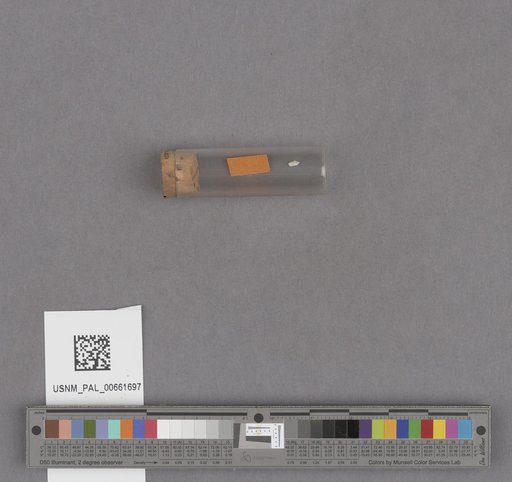 NSF ADBC EPICC TCN