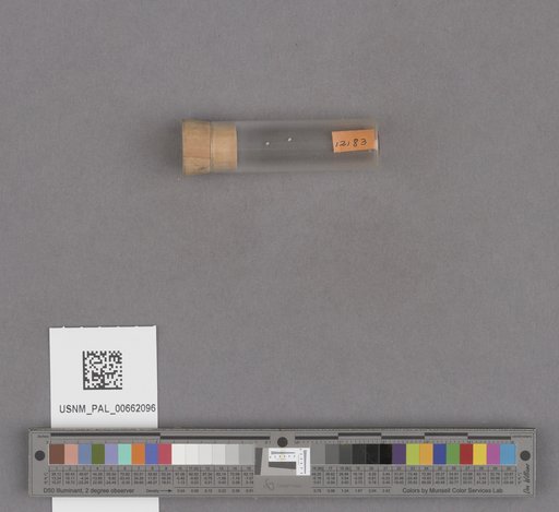 NSF ADBC EPICC TCN