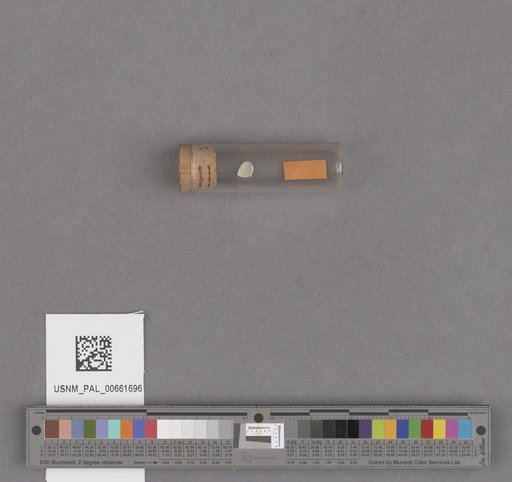 NSF ADBC EPICC TCN