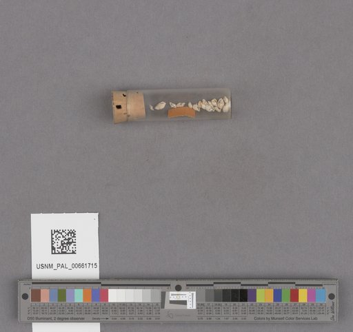 NSF ADBC EPICC TCN