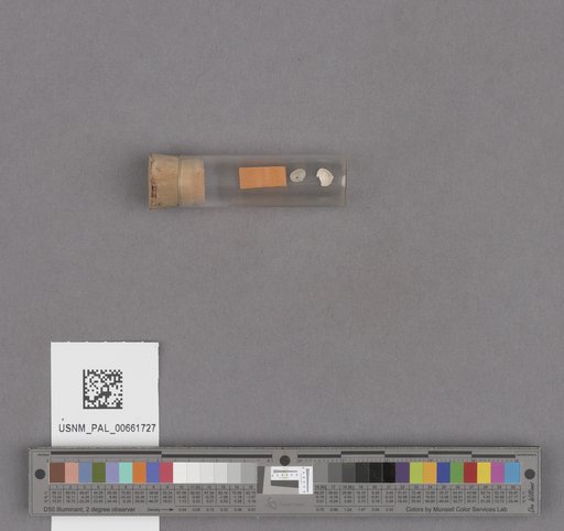 NSF ADBC EPICC TCN