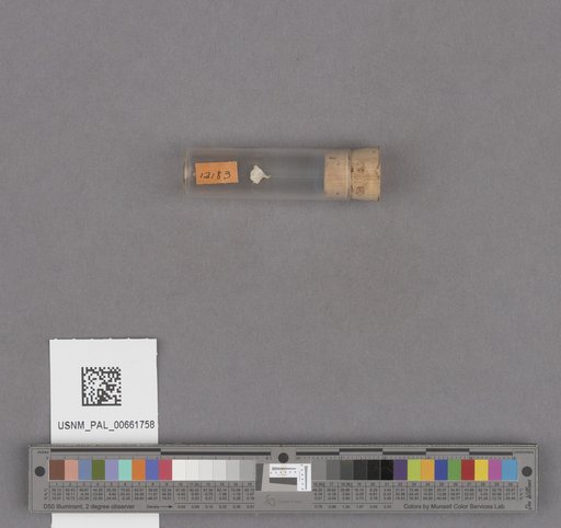 NSF ADBC EPICC TCN