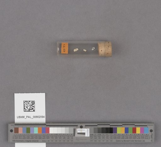 NSF ADBC EPICC TCN