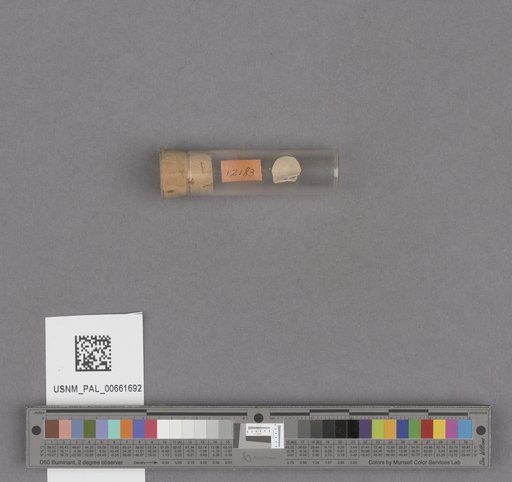 NSF ADBC EPICC TCN