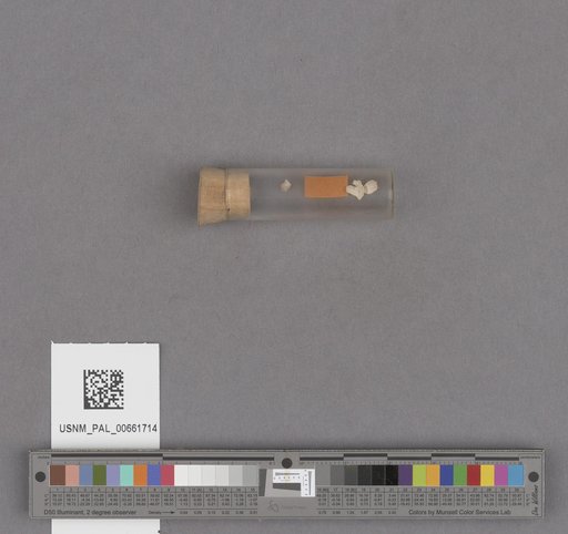 NSF ADBC EPICC TCN