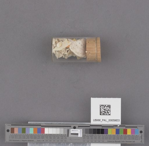 NSF ADBC EPICC TCN