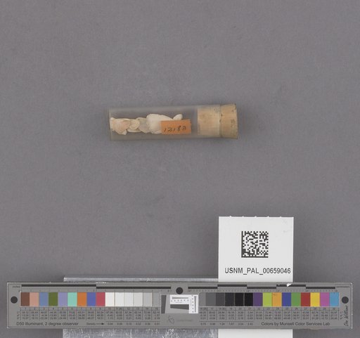 NSF ADBC EPICC TCN